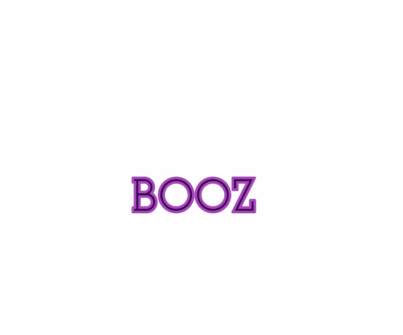 Real BOOZ