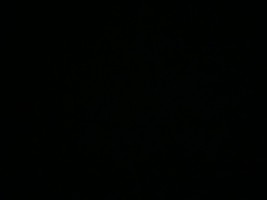 Invitation Banner