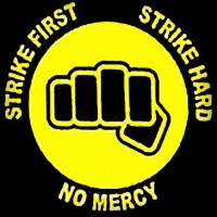 Cobra kai