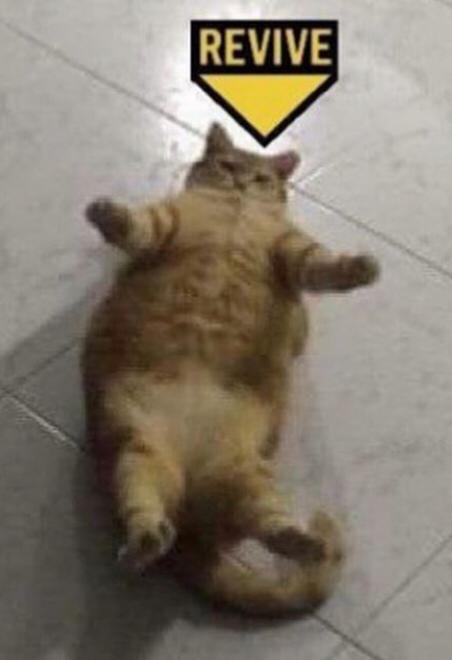 Owaowa