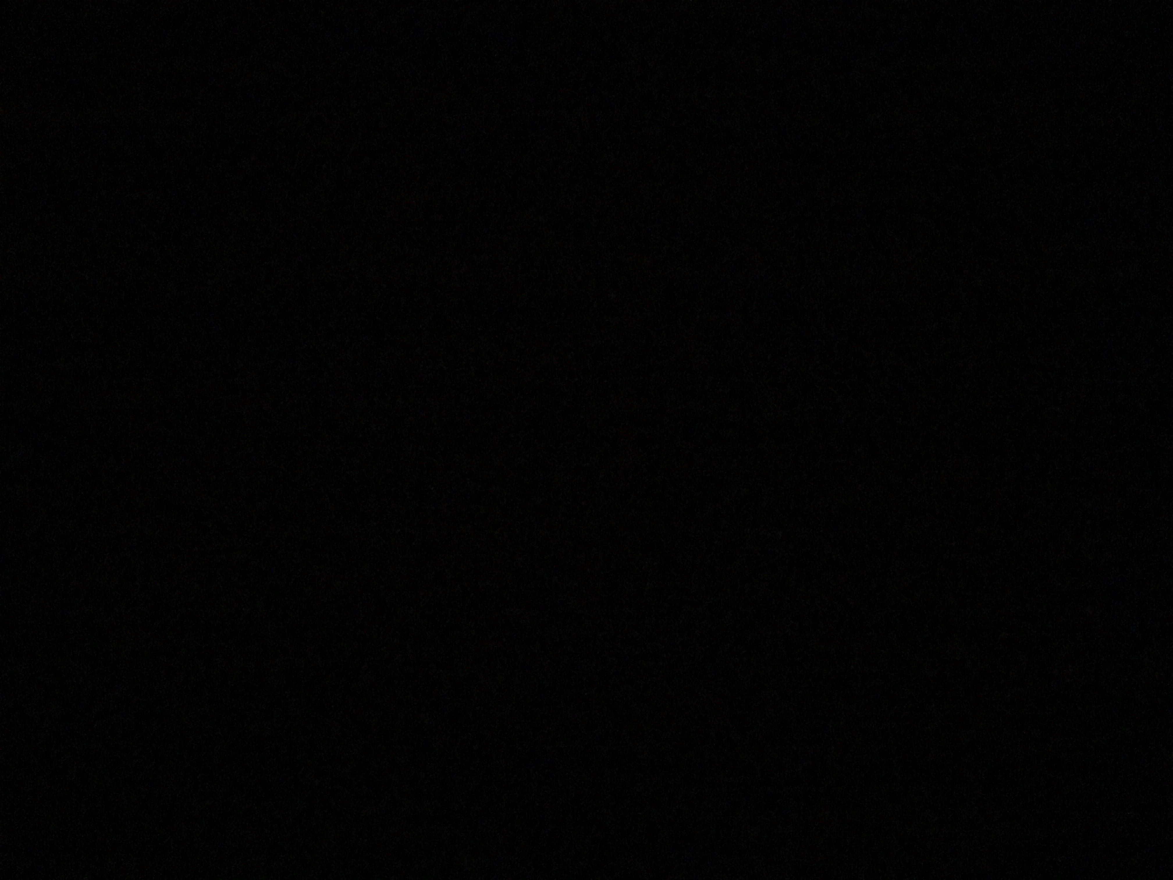 fffddddd