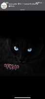 Fxfor