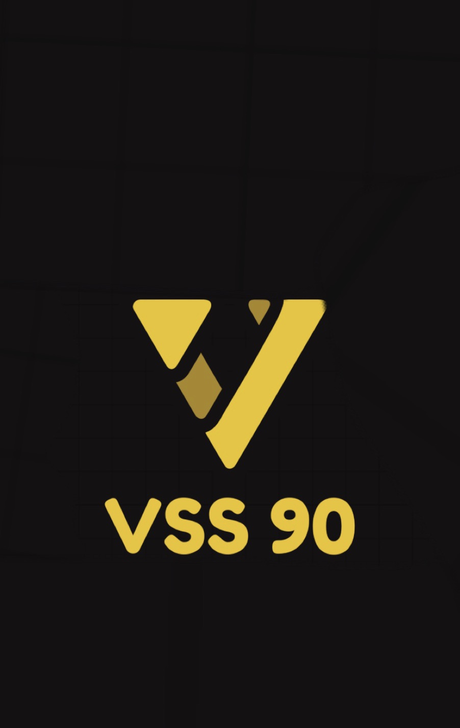 The VSS