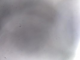 Invitation Banner