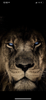 Invitation Banner