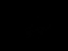 Rexolition