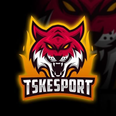 TSKeSPORTS