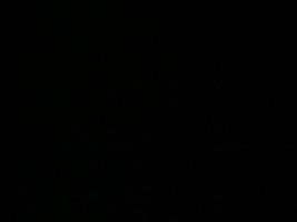 Invitation Banner