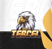 TERCEL ESPORTS