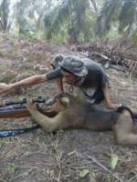 saudi unit