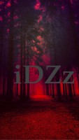 DZ ON TOP