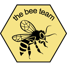 bee team