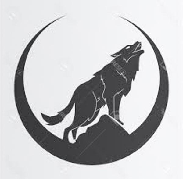 Saam